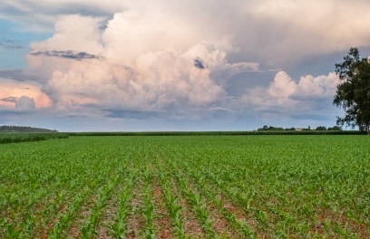 Agronegócio impulsiona turismo corporativo no interior do Mato Grosso