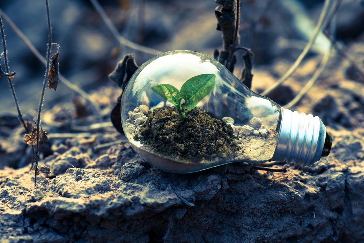 Sustentabilidade guia escolhas de 67% dos brasileiros