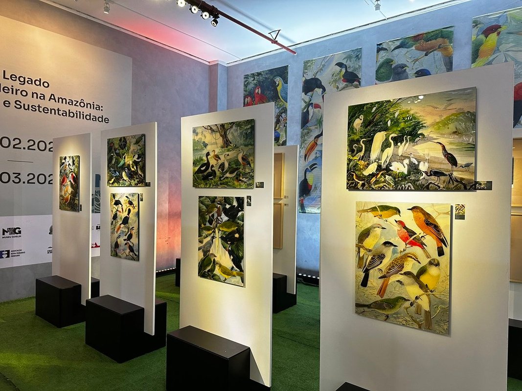 Exposição “Legado Suíço Brasileiro na Amazônia” será inaugurada em Manaus