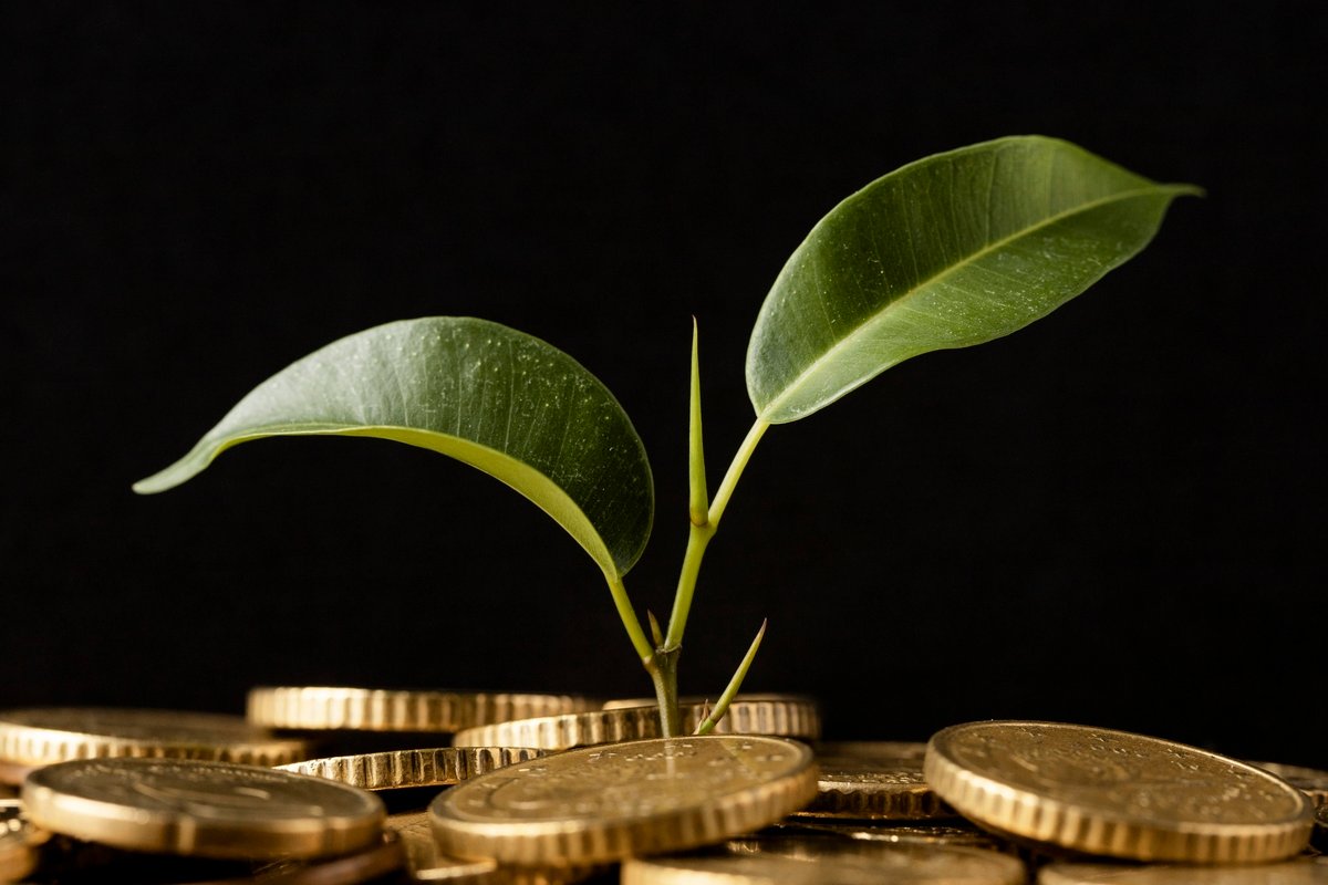 Créditos de carbono poderão quitar impostos no agronegócio