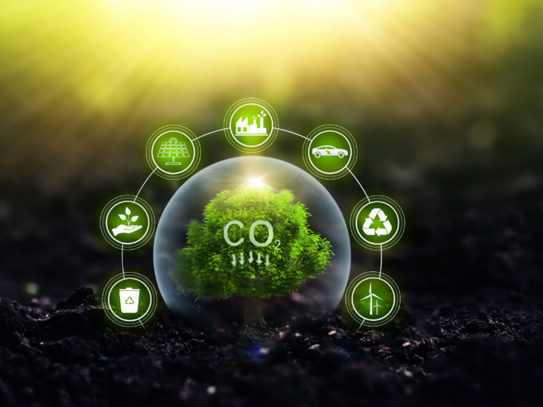 FutureClimate integra iniciativa global de remoção de CO₂