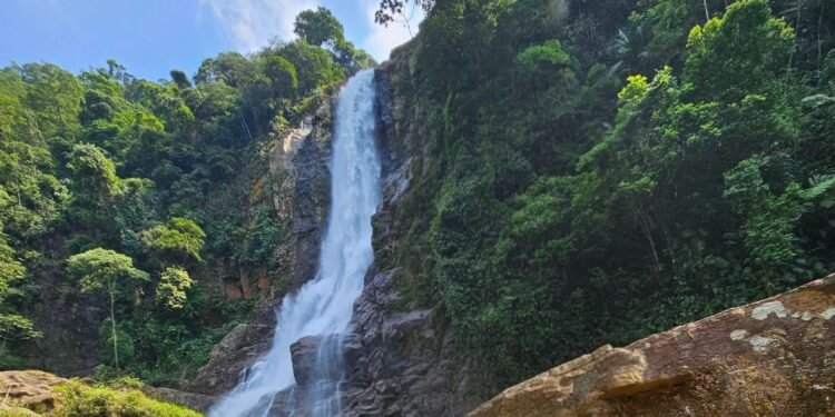 Cubatão é novamente reconhecida internacionalmente como “Cidade Verde do Mundo”