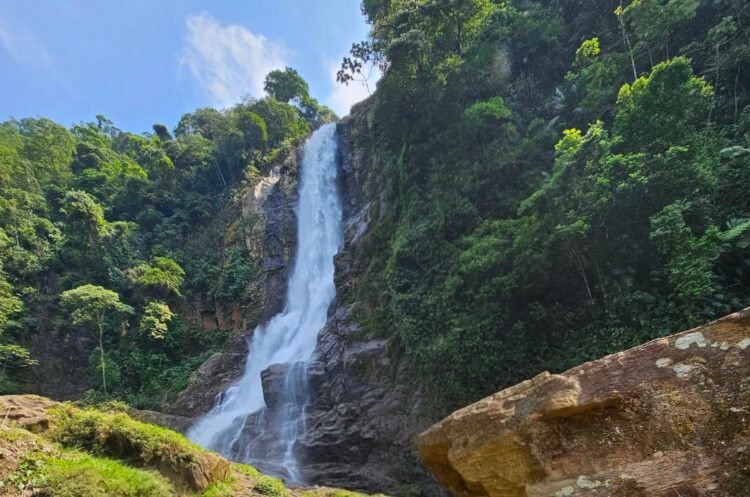 Cubatão é novamente reconhecida internacionalmente como “Cidade Verde do Mundo”